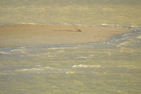 sea water on the beach