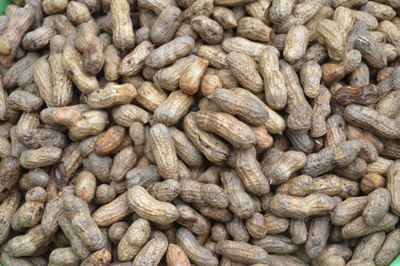 peanuts backgroundの写真素材