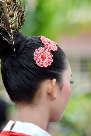 Ruai Bird feathers, Ruai bird is Still a bunch with a hornbill, Its feathers are worn as accessories by dayak female dancersの写真素材