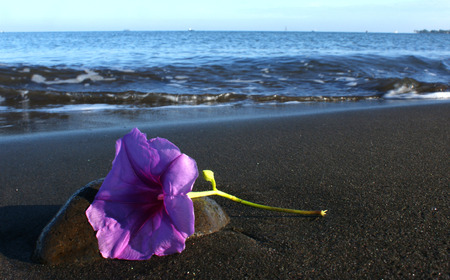 sand beachの写真素材