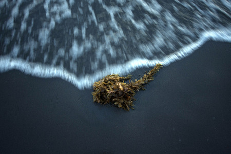 sand beachの写真素材