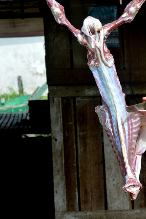 Skinning completed. Fresh goat meat, ready for cooked.の写真素材