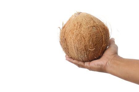 male hand  holding brown coconut fruit on white backgroundの写真素材
