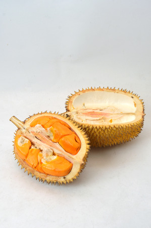 "Elaii", tropical fruits like durian fruit, tropical fruit that is found only in Borneo Indonesia isolated on white backgroundの写真素材
