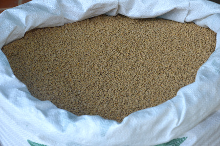 chicken feed cattle on the white sackの写真素材