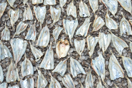 patterns of thin dried fish background