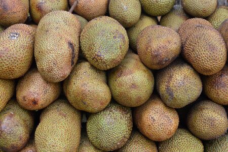 Cempedak is an excotic fruit found mostly in Indonesia and Malaysia. It's similar to jackfruit but a...