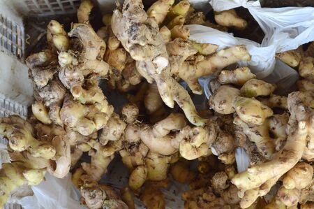 detailed Fresh organic ginger  on the basket
