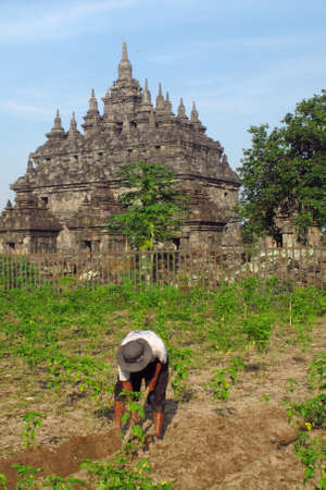 Plaosan Tempel, Buddhist temples inherited from ancient kingdoms in KLATEN - INDONESIA, 1st JULY 2013のeditorial素材