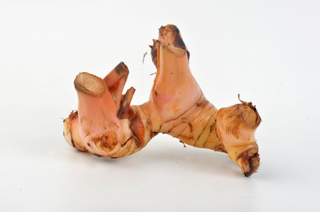 galangal, food ingredients on white backgroundの写真素材
