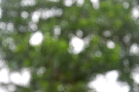 background blur is not in focusの写真素材