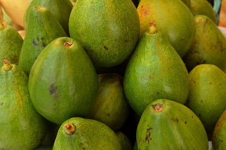 green avocado background