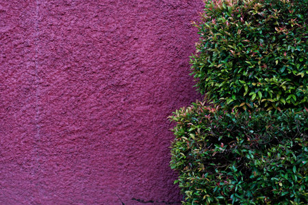 detailed texture and pattern walls backgroundの写真素材