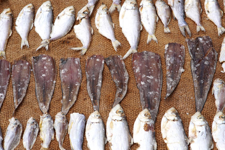 Fresh fish laid out drying in sunlight, a traditional preservation method. A nutritious food source,...