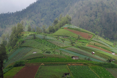 Capture the essence of nature's tranquility. Perfect for travel, environmental, or wellness...