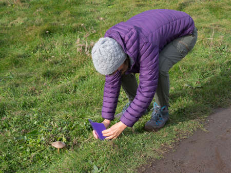 A lady walker in hiking boots bends over to take a photograph of a Parasol mushroom with her...