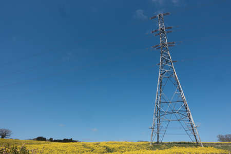 An electricity pylon stands in a yellow field with blue sky background