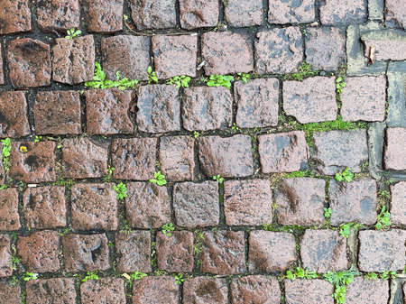 An old cobble stone path glistens as rain has just fallen on it.Green weeds are in some of the crevices between the square stonesの写真素材