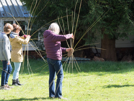 Sussex-UK-April 3,2022- A woman outdoors weaves basket with willow whips.Base has been made but long lengths of willow form a spider web shape.Other women in backgroundのeditorial素材