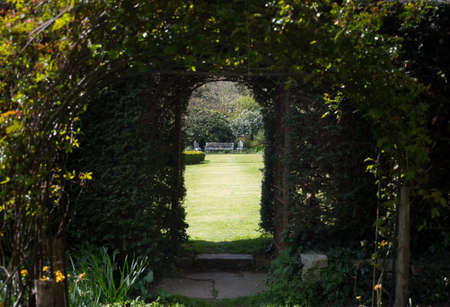 View through an evergreen hedge where a gateway has been cut out. A manicured lawn and metal bench seat and two chairs can be seen.Rural and rustic traditional country garden sceneの写真素材