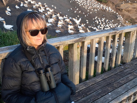 A female birdwatcher sits on a bench with a gannet colony visible behind.She has binoculars round her neck and a contented smileの写真素材