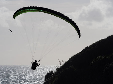 A paraglider flies above an ocean with a hill cliff top to his right.Backlit silhouette.Seabird visible in distanceの写真素材