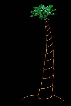 neon palm tree isolated on blackの写真素材