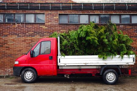 Loaded trimmed branches on the car