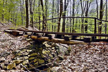 Old forest railway bridgeの写真素材