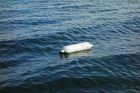 The floating buoy serves as an anchor for ships