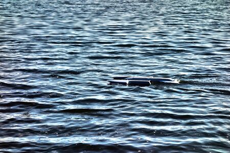 Electric model ship on the lake