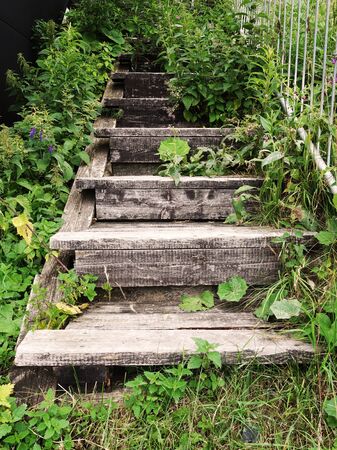 Overgrown wooden stairs leading to the unknownの写真素材
