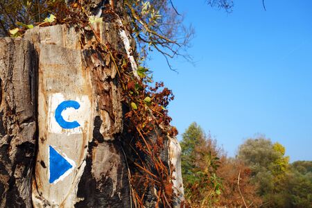 Tourist sign on stumpの写真素材