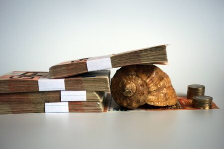 Money with conch imitates the sluggish pace of economy in the form of a slug