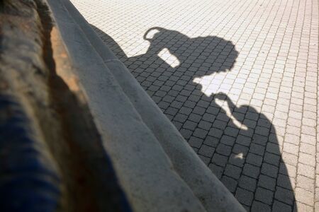 Shadow of photographer and lion taking pictures of iron lion statue
