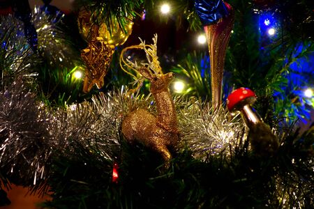 Ornate and illuminated Christmas tree in the evening of Christmas Eveの写真素材