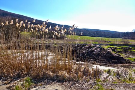 Space for storage of farm manure to fertilize fieldsの写真素材