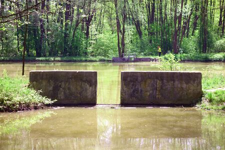 Muddy natural ponds in springの写真素材