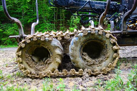 Forest harvesting machine for transporting sawn trees in the forestの写真素材