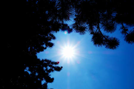 Bright sun in the blue skyの写真素材