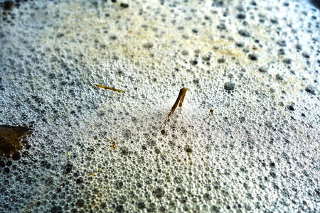 Stack of foam on the shore of Lake accumulated torrential wavesの写真素材