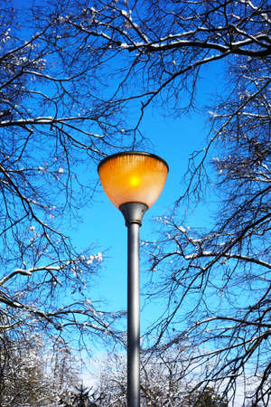 An illuminated street lamp in the park during a beautiful winter day