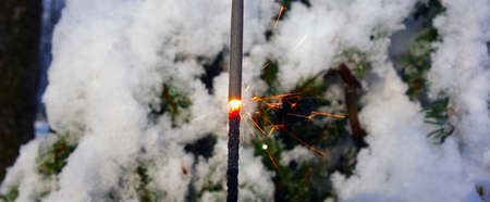 Sparkling Christmas and New Year sparkler on a snowy coniferous tree in a fairy forest