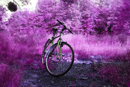 A lone bicycle stands in colorful natureの写真素材