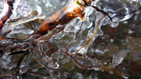 Beautiful icicles on a frozen mountain stream