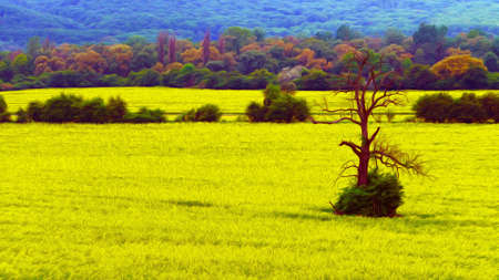 Beautiful picturesque nature in an illustrated form