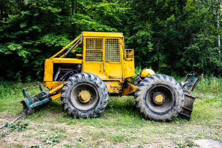 Forest tractor for logging after sawing trees, heavy forestry equipmentの写真素材