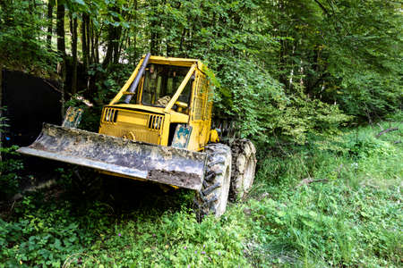 Forest tractor for logging after sawing trees, heavy forestry equipment