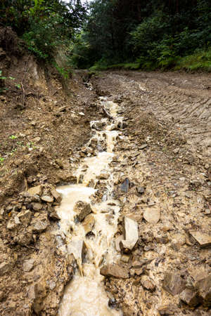 Muddy forest road with traces of forest harvesting vehicle tiresの写真素材