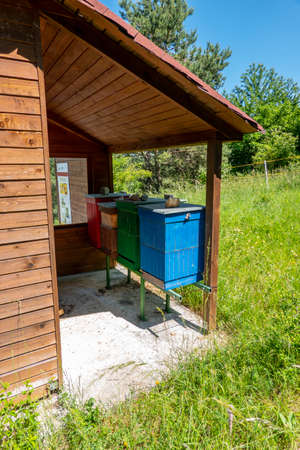 Bee hive under the roof of an apiary